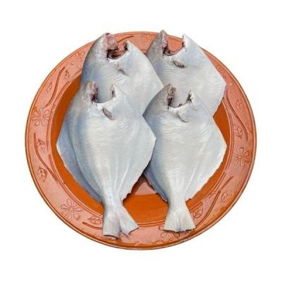 রূপচাঁদা মাছ